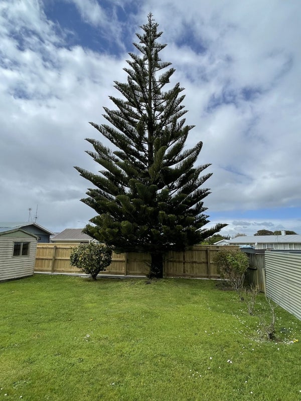 57 Rugby Street, Awapuni, Palmerston North - Carousel 18