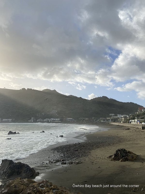 18 Robertson Street, Owhiro Bay, Wellington - Carousel 11