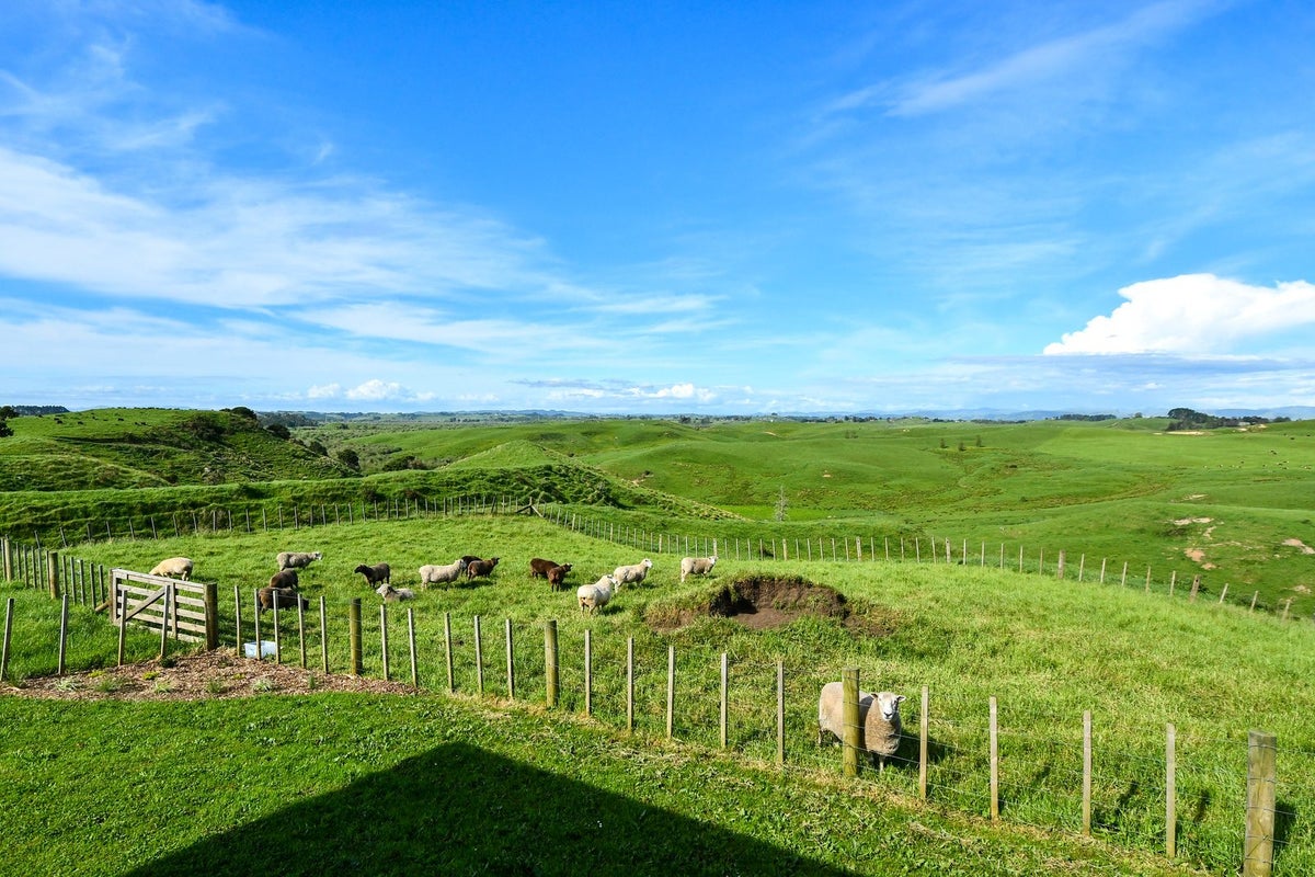 1024 Glen Murray Road, Huntly - Carousel 31