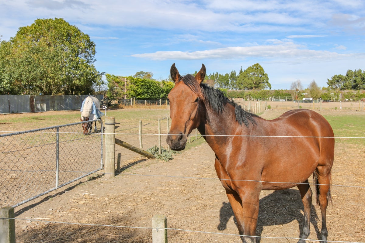 5 Strathmore Road, Leeston - Carousel 27