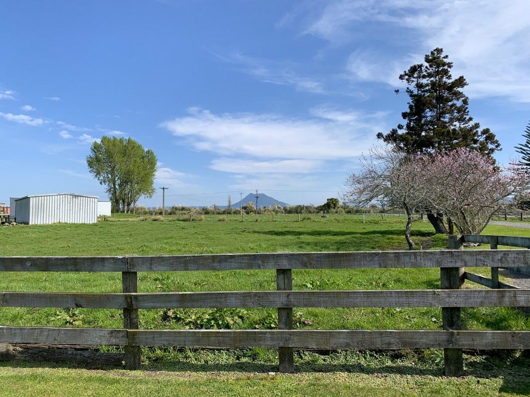 901 Matata Road, Matata, Whakatane - Carousel 13