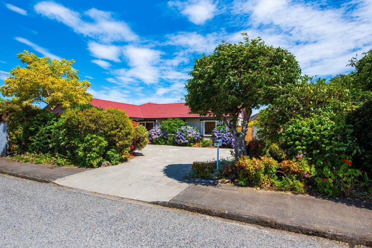 77 Parker Avenue, Levin, Levin - Carousel 33