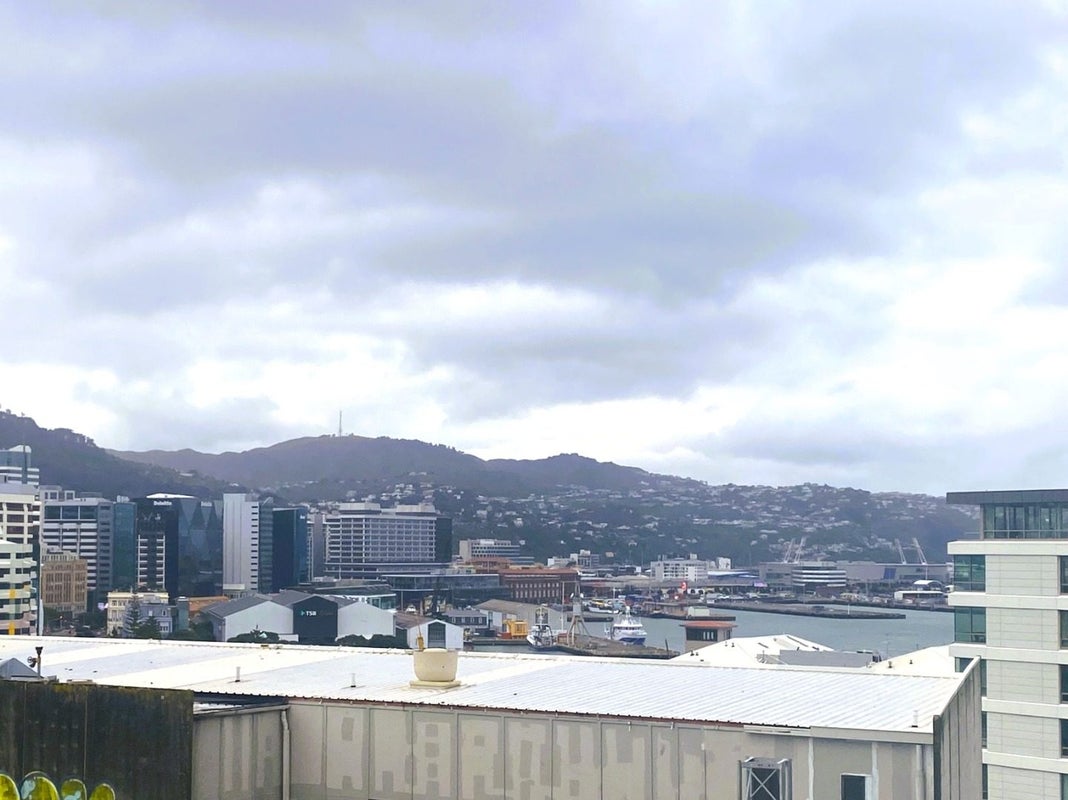 11F/30 Taranaki Street, Te Aro, Wellington - Carousel 11