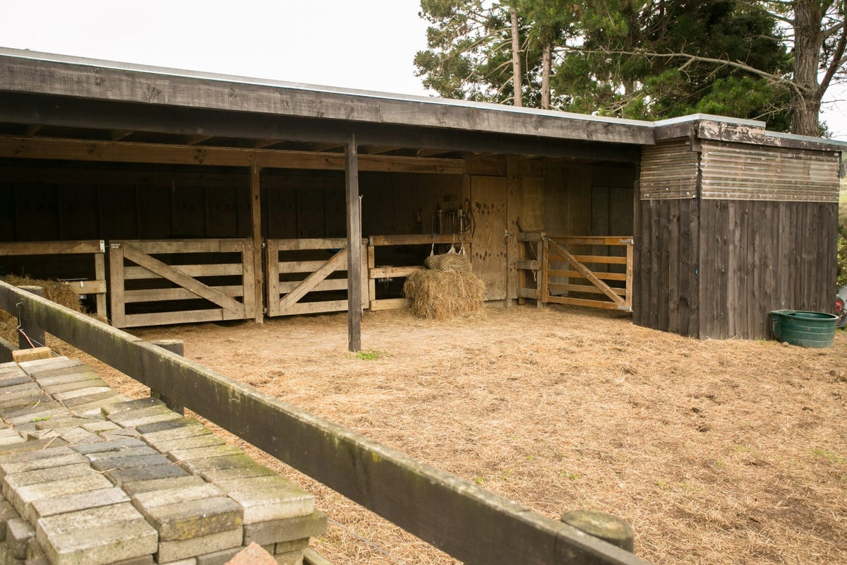 66 Kennedy Road, Albany - Carousel 42