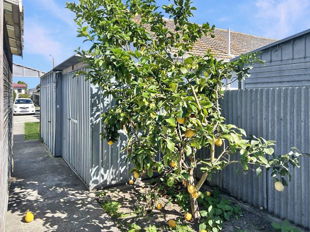 29 Seddon Crescent, Marewa, Napier - Carousel 16