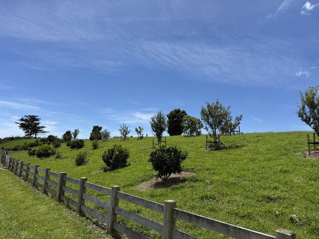 7 Johnson Place, Stillwater, Silverdale - Carousel 35