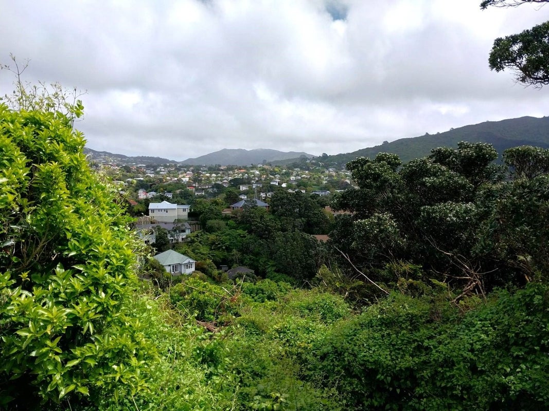 41B Pembroke RD, NORTHLAND, WELLINGTON - Carousel 1