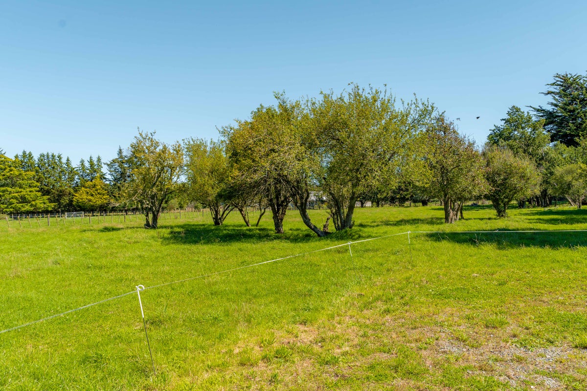 237 Upper Plain Road, Upper Plain, Masterton - Carousel 20