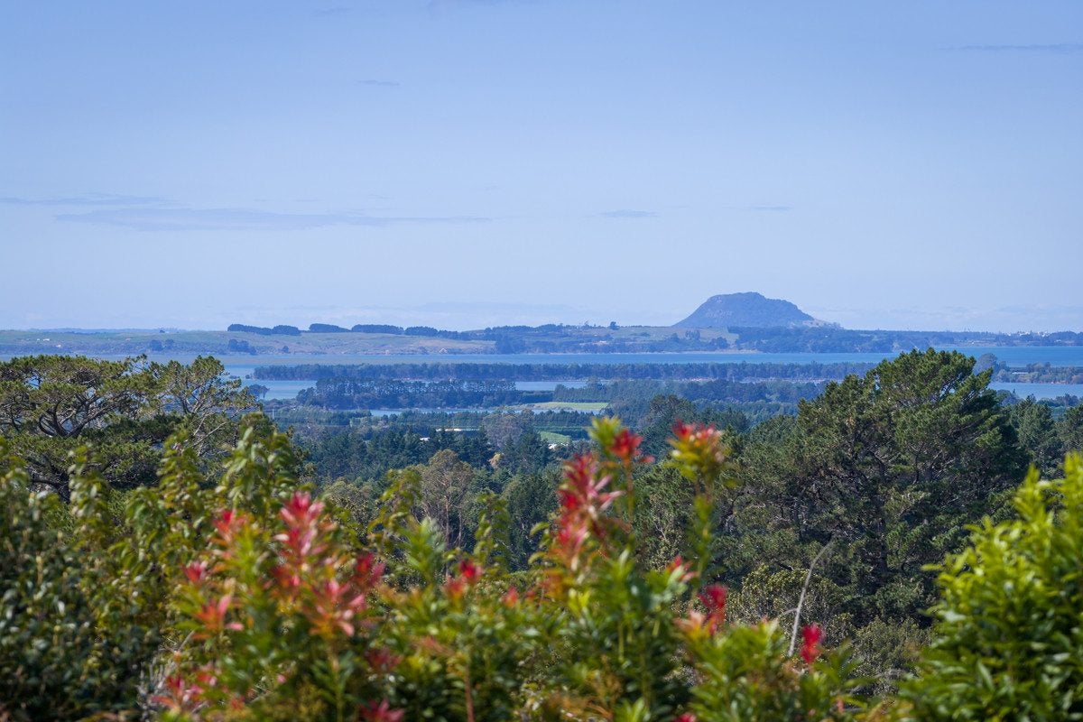 360A Busby Road, Tahawai, Katikati - Carousel 2