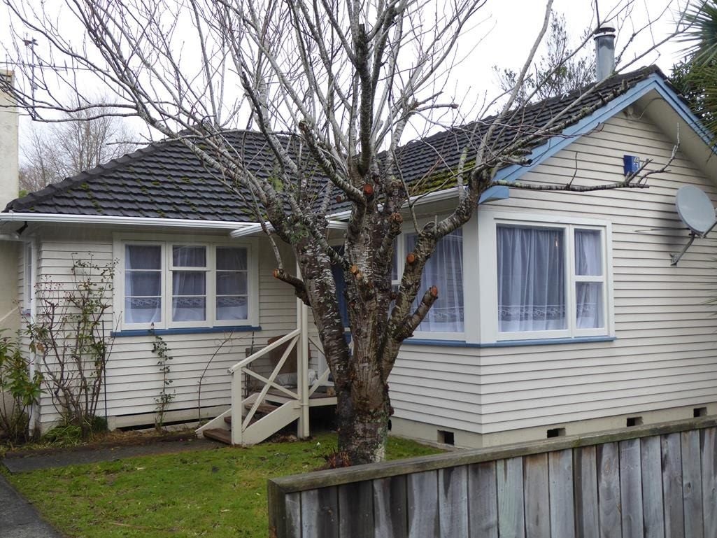 102 Pharazyn Street, Melling, Lower Hutt - Carousel 1