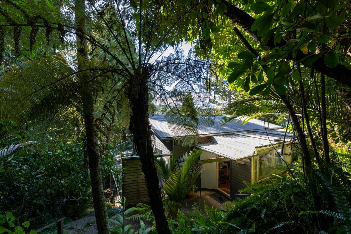 14 Opou Road, Titirangi, Auckland - Carousel 22