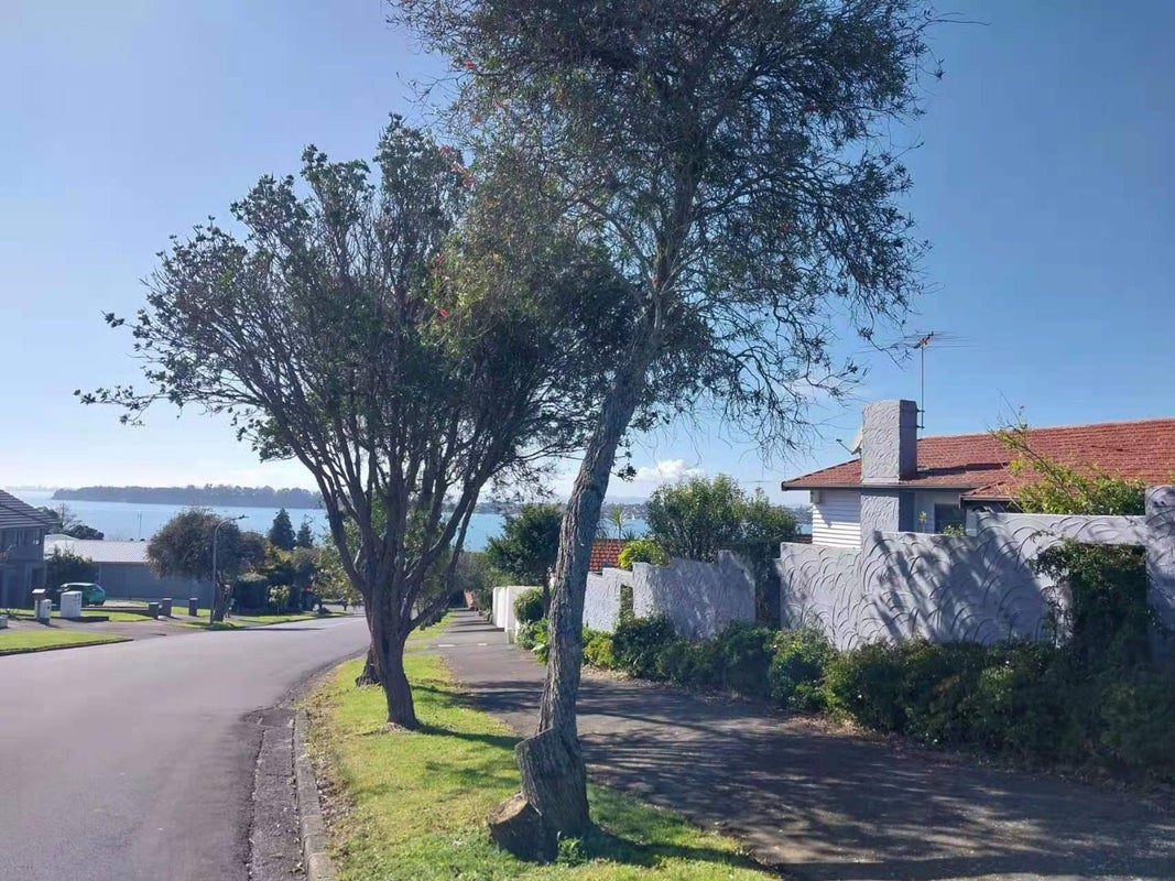 34 Vanessa Crescent, Glendowie, Auckland - Carousel 2