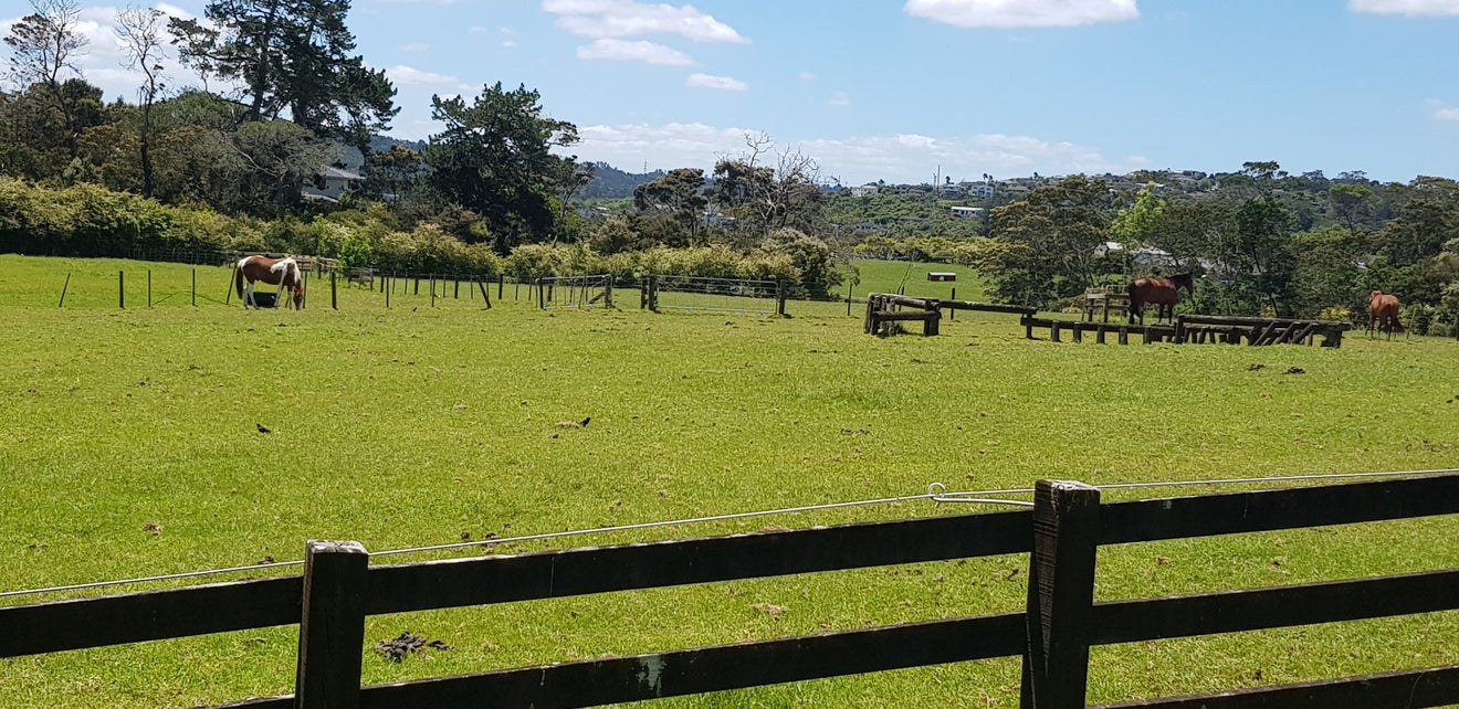 1/3 Orwell Road, Greenhithe, Auckland - Carousel 15