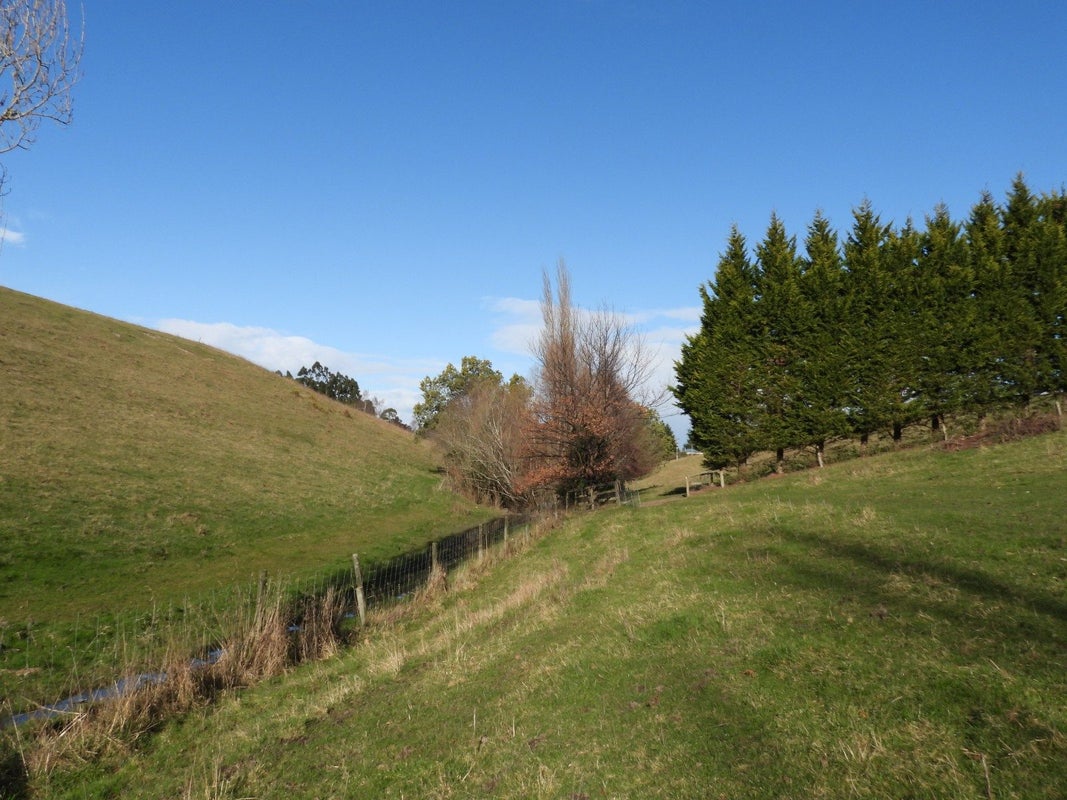 81 Maudes Road, Deborah - Carousel 28