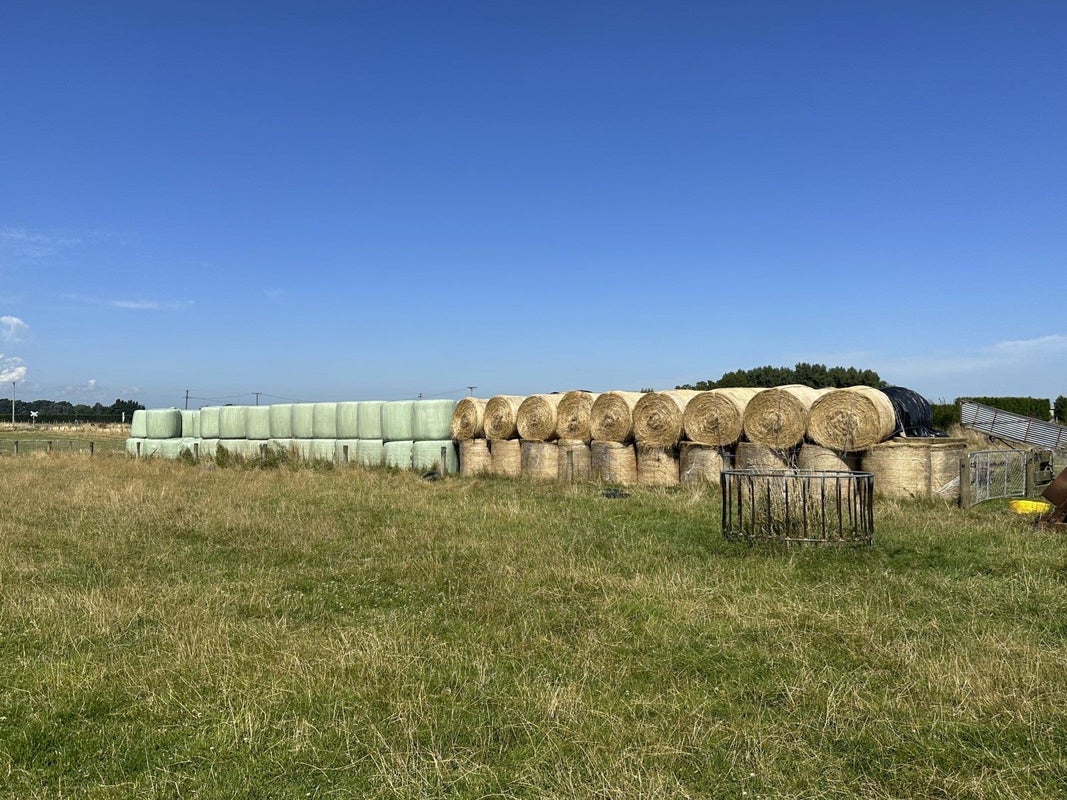 750 Woodlands Invercargill Highway, Longbush, Invercargill - Carousel 15