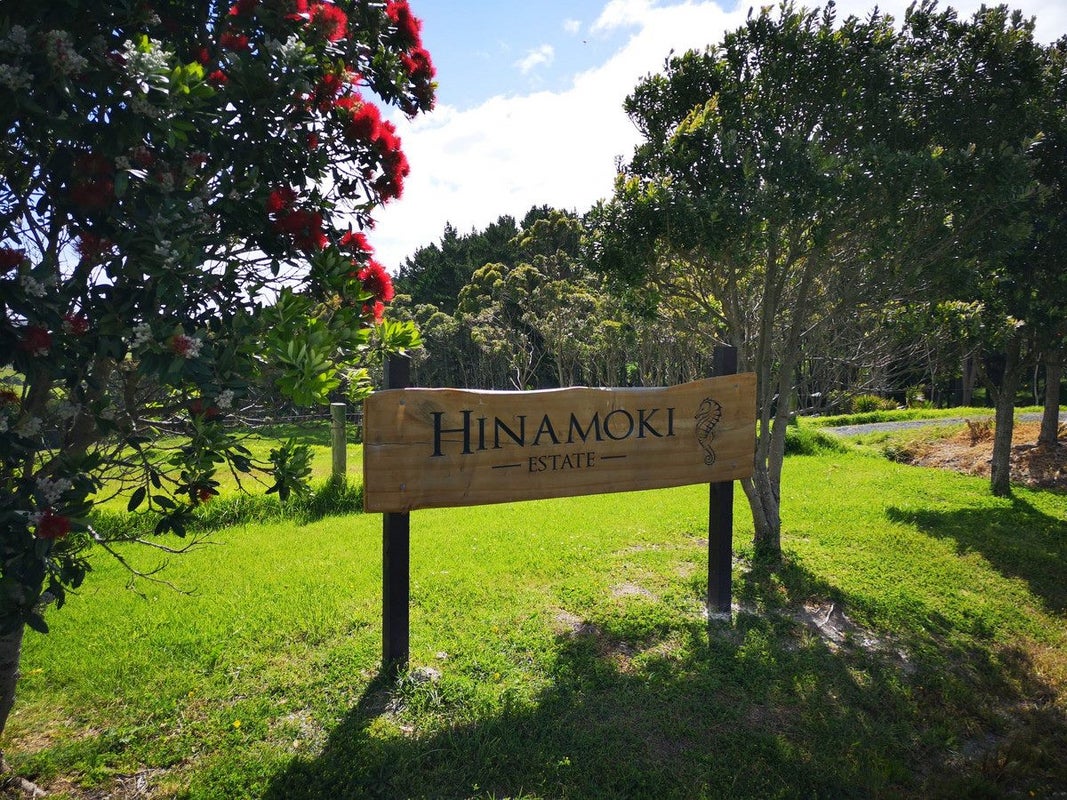 55 Hinamoki Drive, Kaiwaka - Carousel 10
