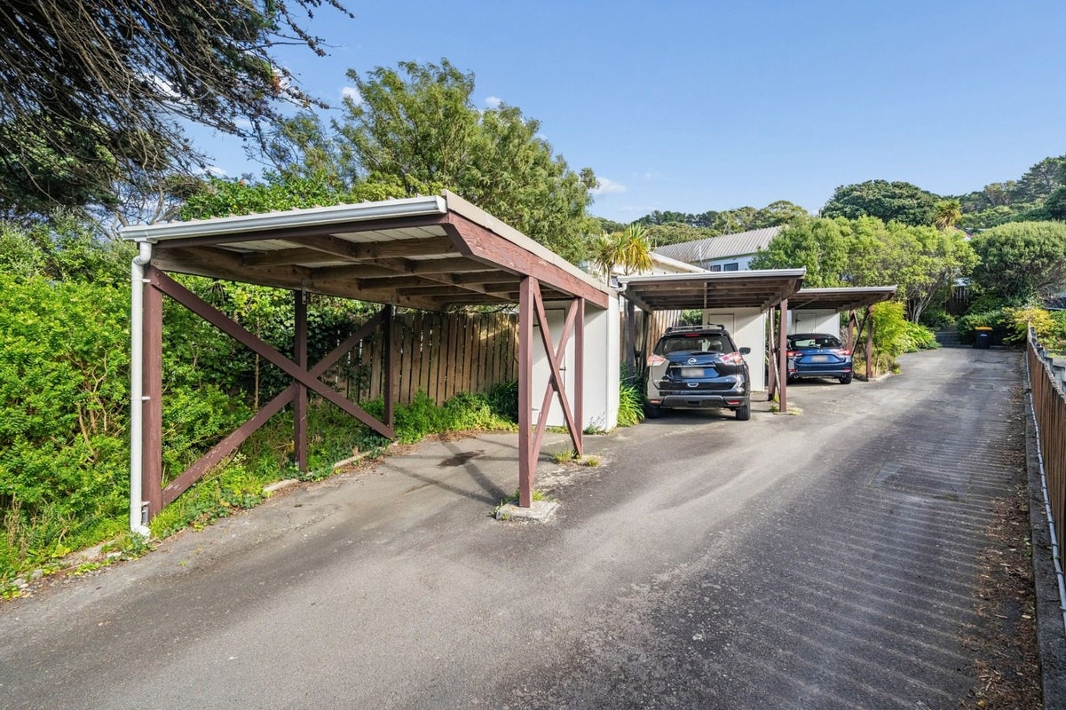 156 Moxham Avenue, Hataitai, Wellington - Carousel 16