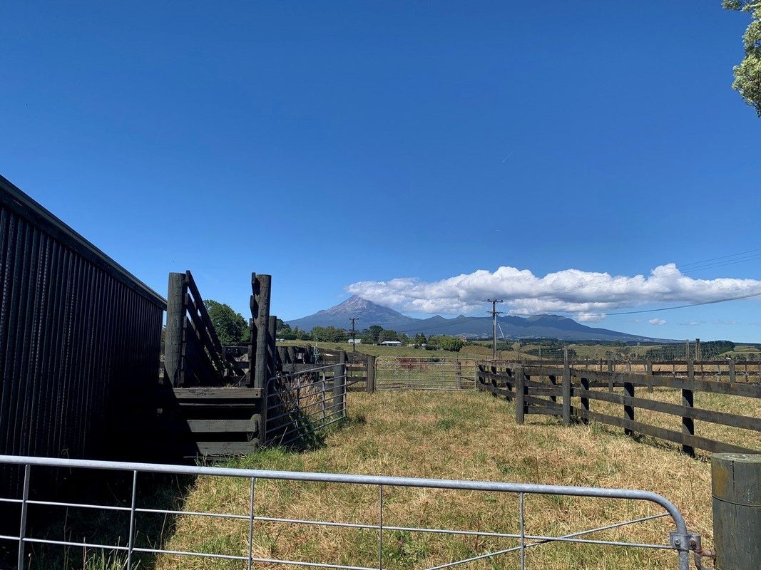 289 Upland Road, Tarurutangi, New Plymouth - Carousel 35