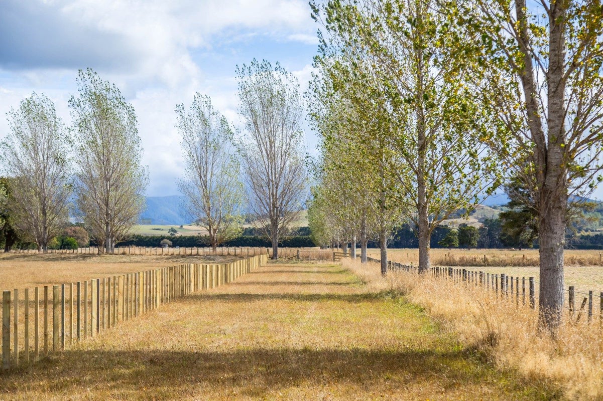 85 Budd Road, Upper Plain, Masterton - Carousel 2