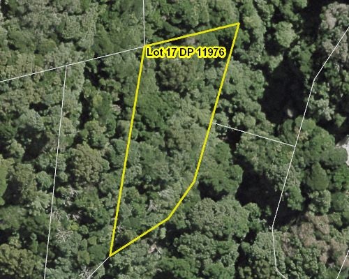 99 Ngaio Gorge Road, Ngaio, Wellington - Carousel 2