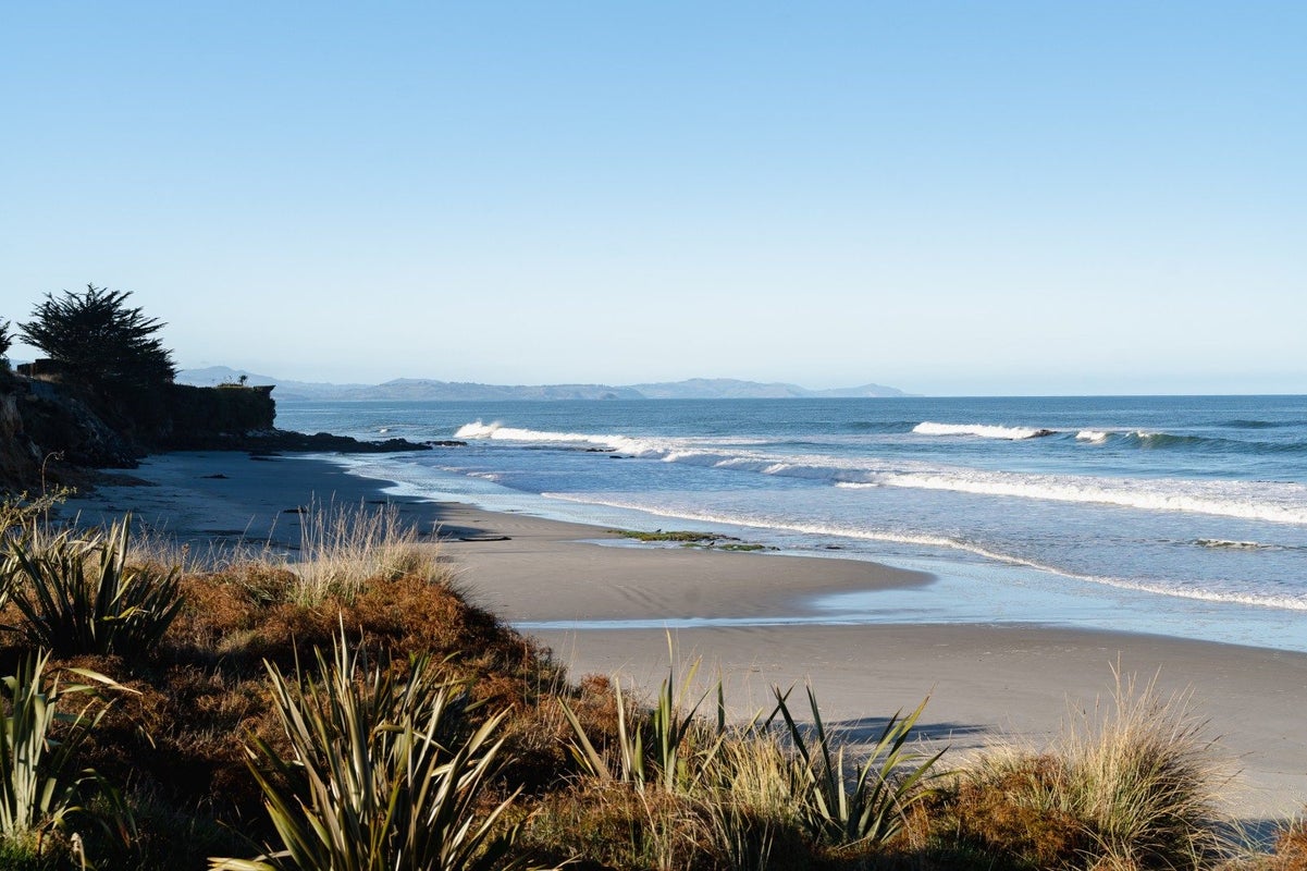 19 Connor Place, Taieri Beach, Taieri Beach - Carousel 15