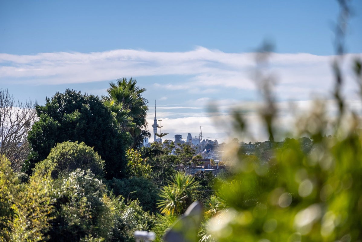 16/16 Willerton Avenue, New Lynn, Auckland - Carousel 20