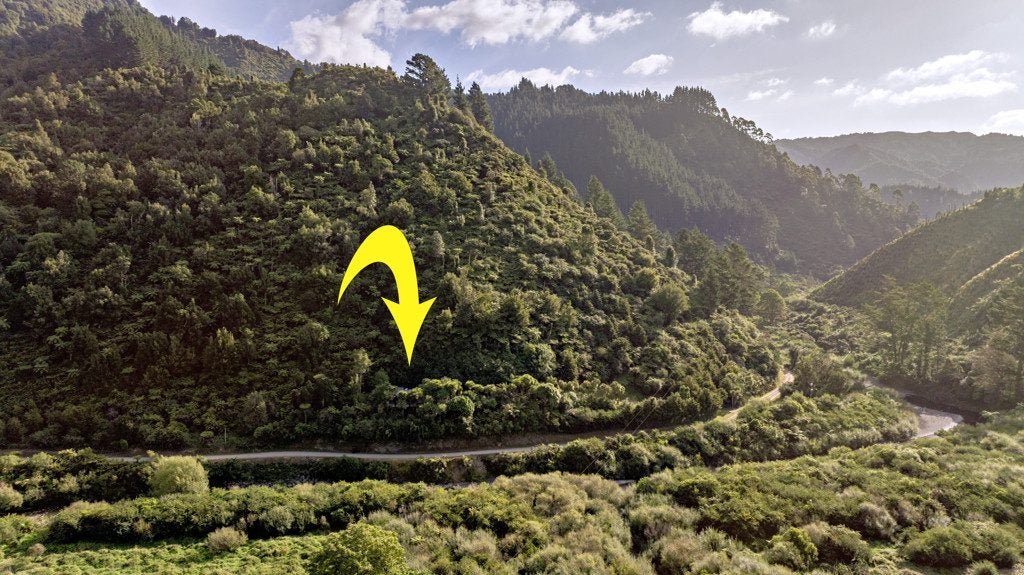 250 Pakihi Road, Toatoa, Opotiki - Carousel 50