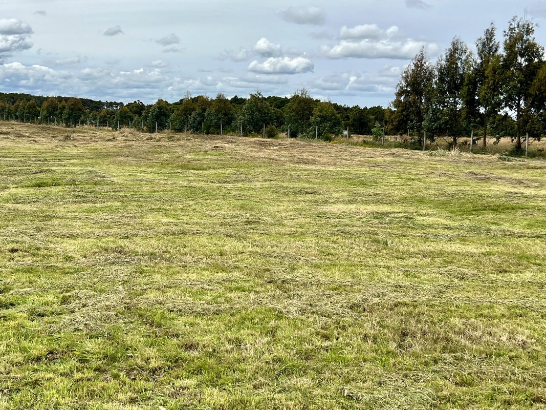 34 Flaxmill Way, Otatara, Invercargill - Carousel 2