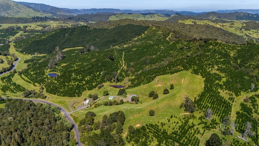 386 Pawarenga Road, Broadwood, Kohukohu - Carousel 33