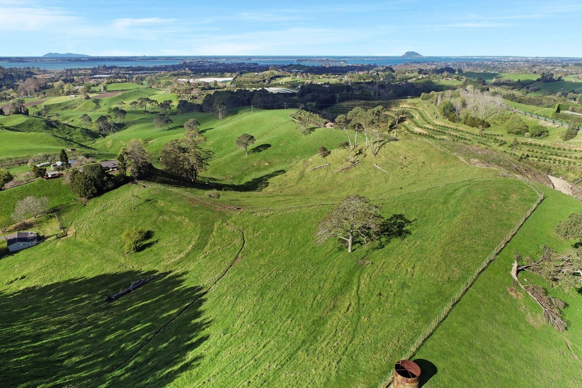 163 Waipapa Block Road, Whakamarama, Tauranga - Carousel 2