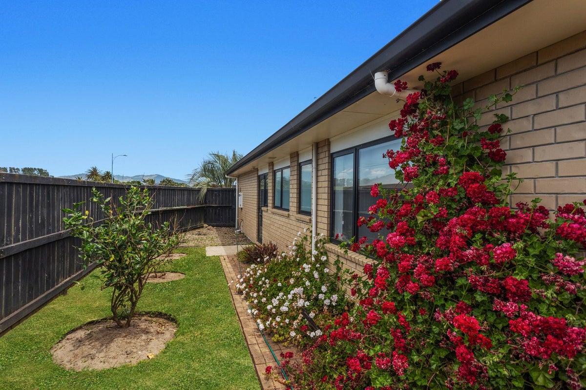 8 Te Karaka Key, Waiotahe, Opotiki - Carousel 22
