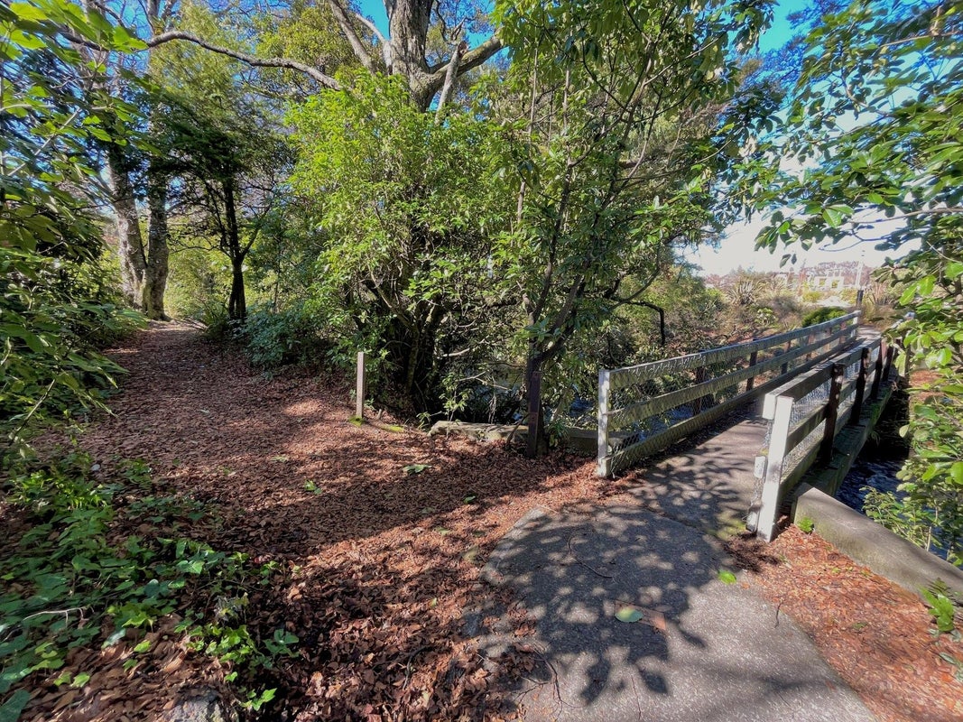 98 Clyde St (State Highway, 49), OHAKUNE - Carousel 24