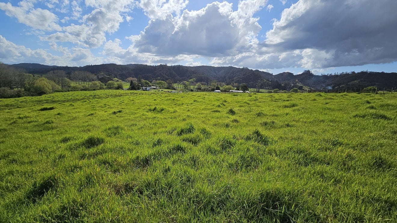 19 Doel Road, Kawakawa, Kawakawa - Carousel 1