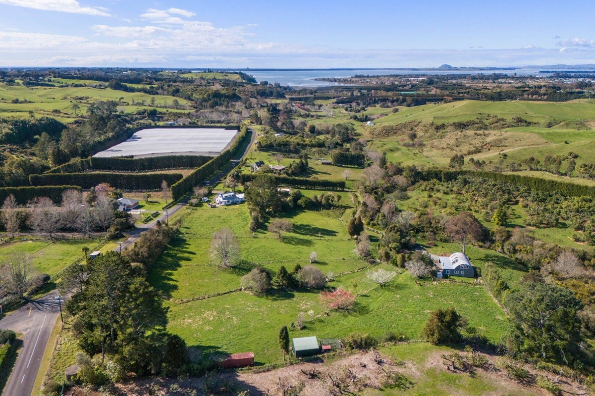 167 Willoughby Road, Tahawai, Katikati - Carousel 35