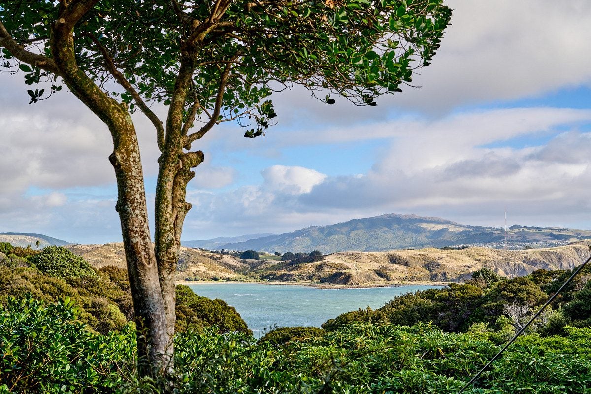 98 Motuhara Road, Plimmerton, Porirua - Carousel 1