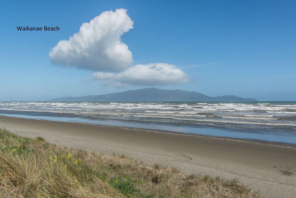 24 Freyberg Crescent, Waikanae Beach, Waikanae - Carousel 17