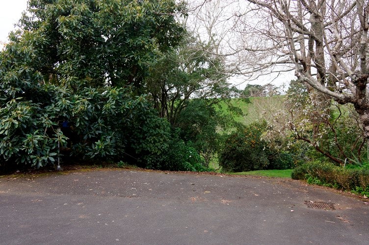 12B Horne Street, Hurdon, New Plymouth - Carousel 12