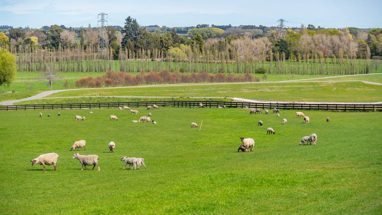 10 Kapuka Lane, Kennedys Bush, Christchurch - Carousel 23
