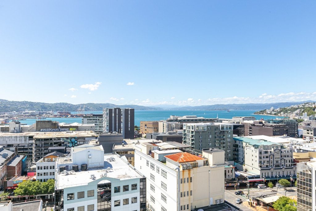 1517/74 Taranaki Street, Te Aro, Wellington - Carousel 1