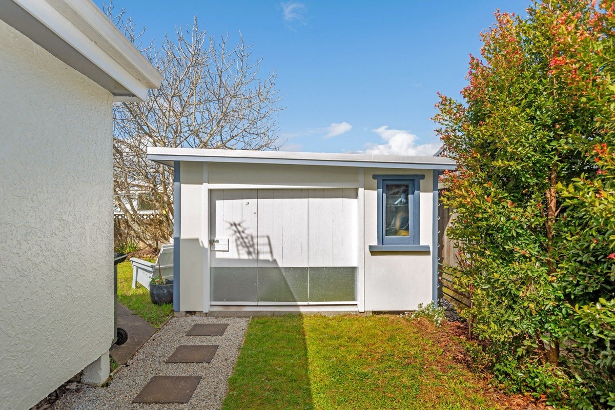 15 Buchanan Street, Mangapapa, Gisborne - Carousel 19