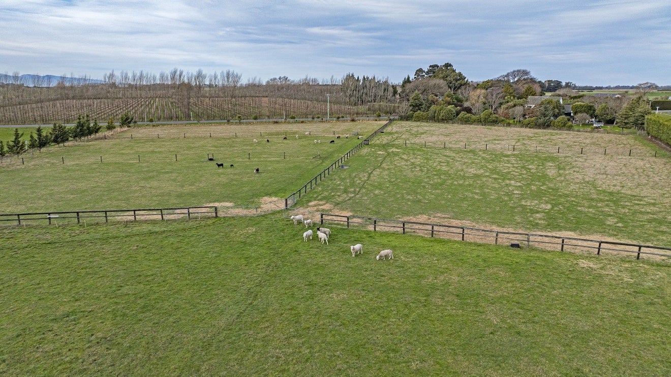 494 Lake Road South, Leeston - Carousel 29