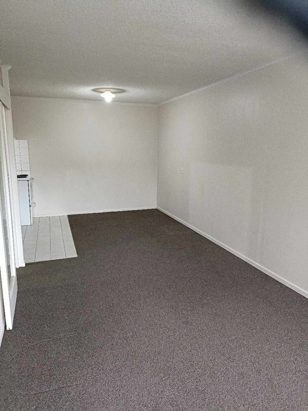 2Q/94 Dominion Road, Mount Eden, Auckland - Carousel 2