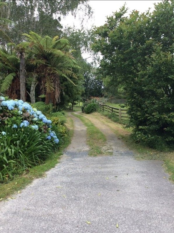 503 Allport Road, Paengaroa, Te Puke - Carousel 14