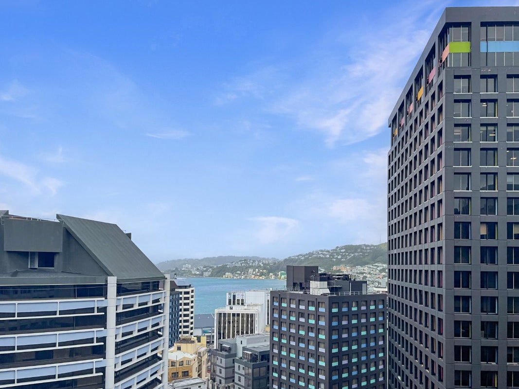 11E/163 The Terrace, Wellington Central, Wellington - Carousel 2