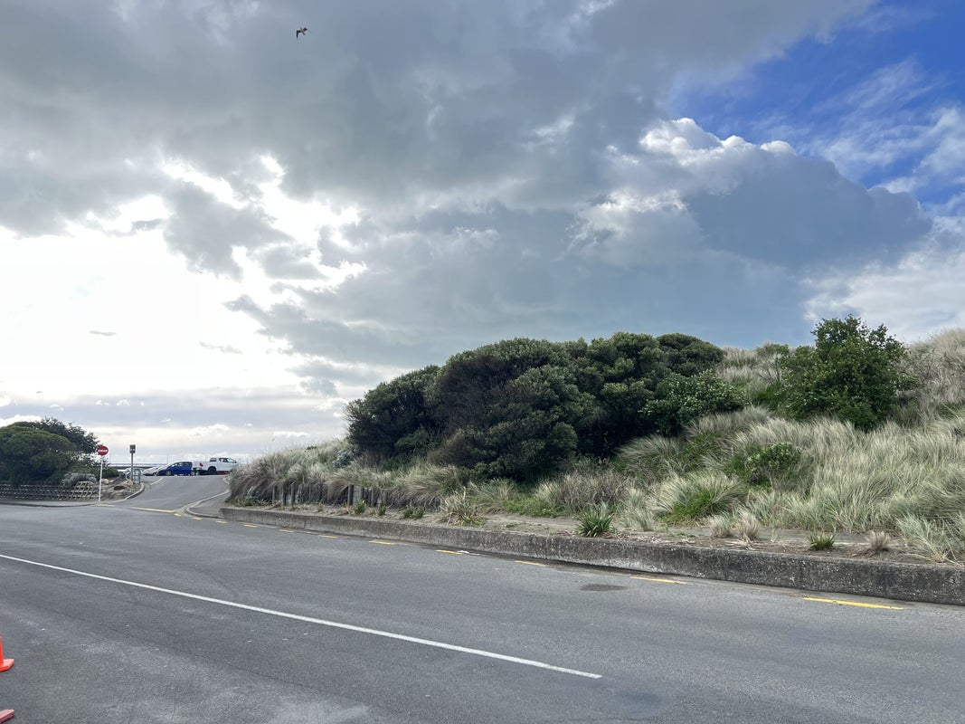 28 Cashmere View Street, Somerfield, Christchurch - Carousel 21