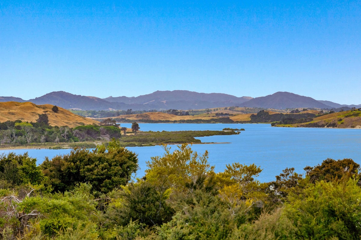 5B Te Ngahere Lane, Kaiwaka, Kaipara - Carousel 2
