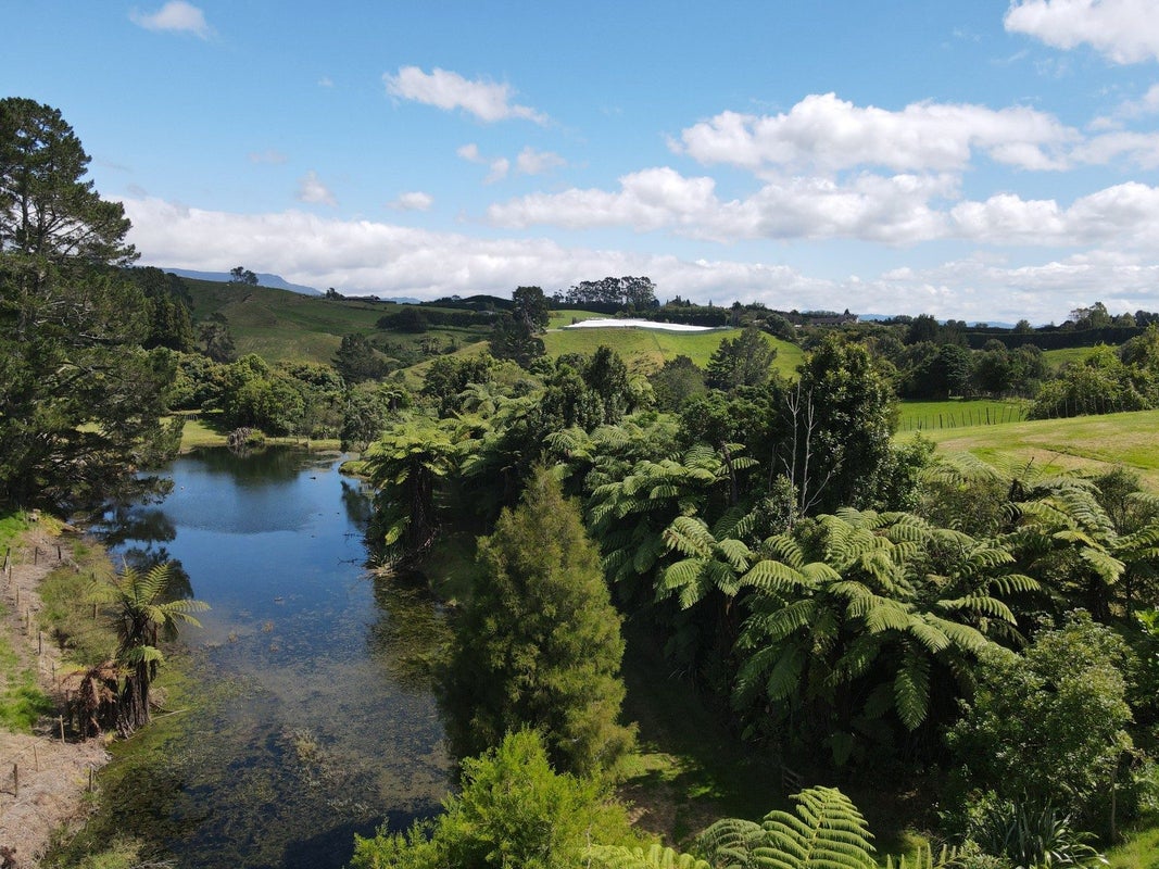 342 Youngson Road, Whakamarama, Tauranga - Carousel 32
