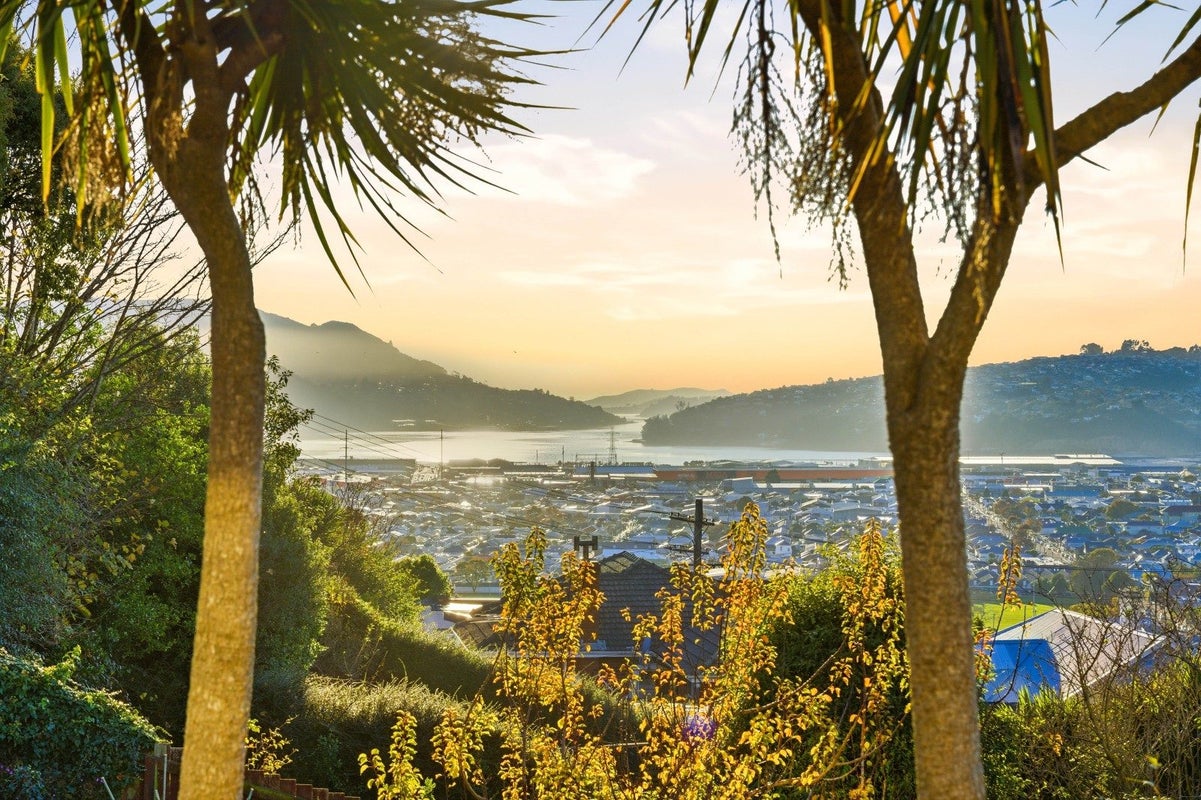 11 Skibo Street, Kew, Dunedin - Carousel 2