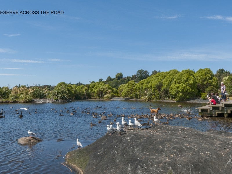 164 Carmichael Road, Bethlehem, Tauranga - Carousel 22