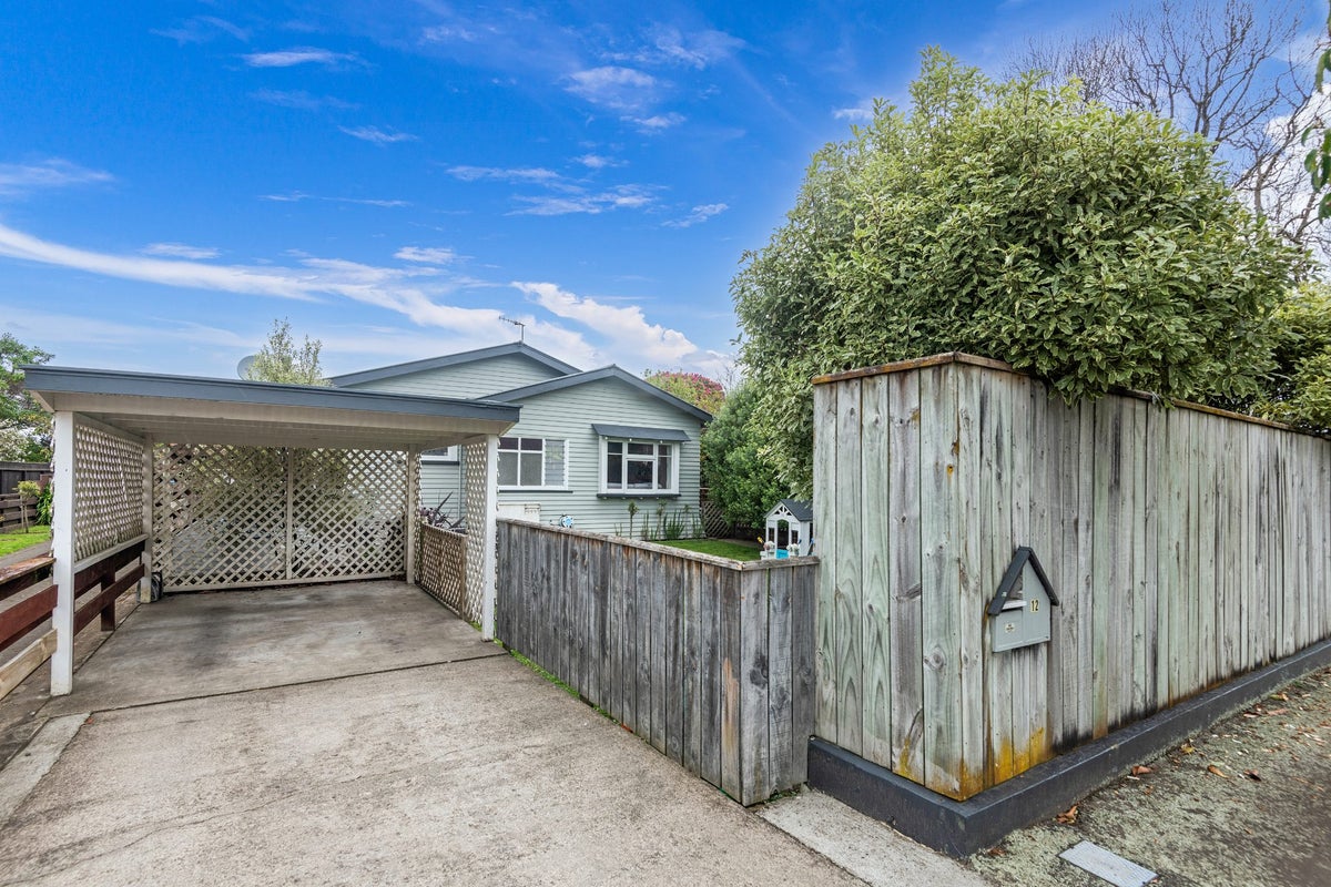 12 Manson Street, Terrace End, Palmerston North - Carousel 1